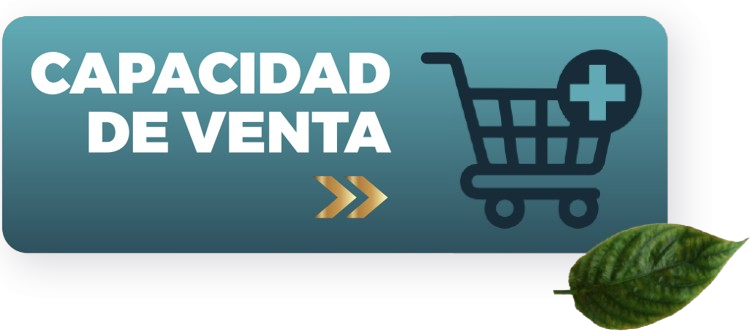 Capacidad de Suministro